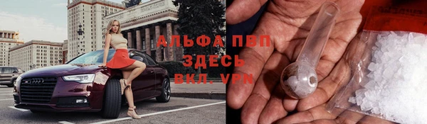 Альфа ПВП Кодинск