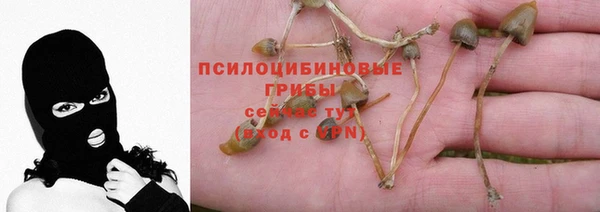 а пвп мука Козловка