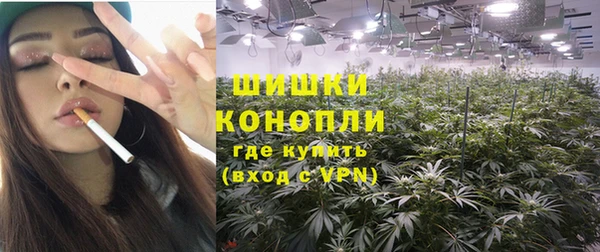 ПСИЛОЦИБИНОВЫЕ ГРИБЫ Краснослободск