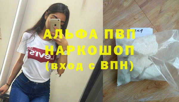 Альфа ПВП Кодинск