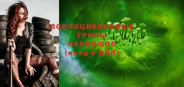 ПСИЛОЦИБИНОВЫЕ ГРИБЫ Краснослободск