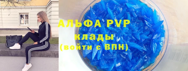 гидра Кинешма