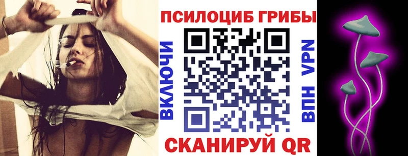 хочу наркоту Мезень Галлюциногенные грибы мицелий